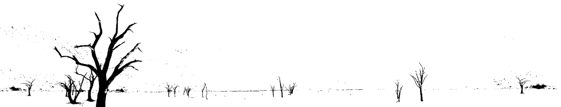 cawe_ngauge_background